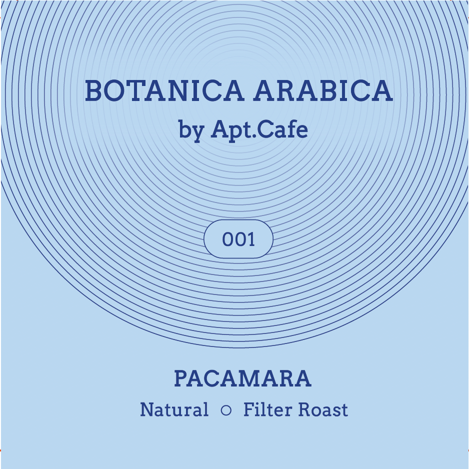 Botanica Arabica 001 Pacamara Natural Filter Roast - Front