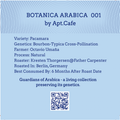 Botanica Arabica 001 Pacamara Natural Filter Roast - Back
