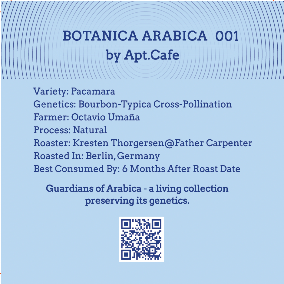 Botanica Arabica 001 Pacamara Natural Filter Roast - Back