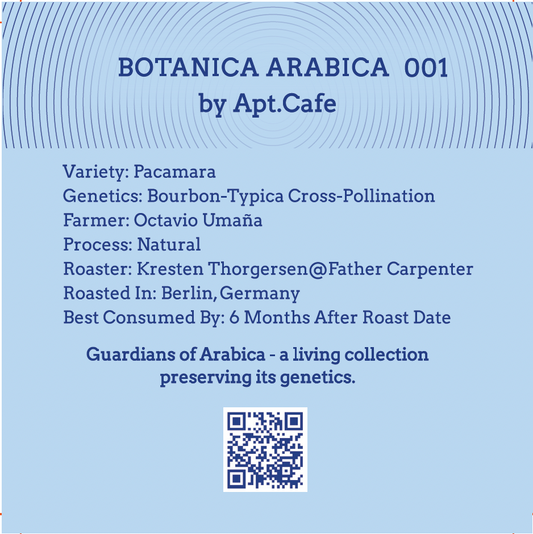 Botanica Arabica 001 Pacamara Natural Filter Roast - Back