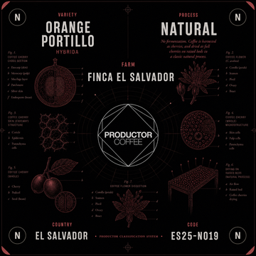 Green Coffee - FES ORANGE PORTILLO NATURAL