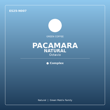 Green Coffee - OCTAVIO PACAMARA