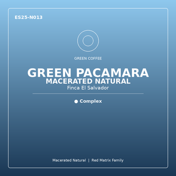 Green Coffee - FES PACAMARA GREEN 72N